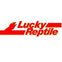 Lucky Reptile