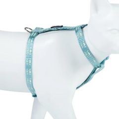 Schesir Perro Pollo con Calabaza (Latas) - Arnés Gato Reflectante Freecat Azul 10 mm x 19/30 cm
