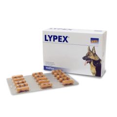 Lypex (60 cápsulas)