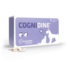 Cognidine (60 comprimidos)