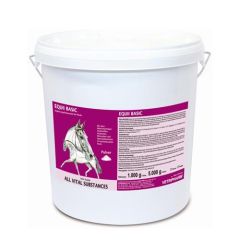 Equi 2000 Basic Vitaminas Caballos 5 Kg