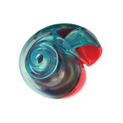 Kong Rewards Shell Small