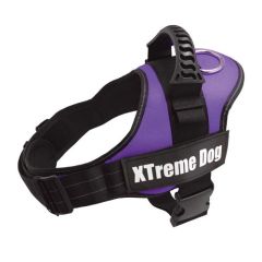 Arnés Xtreme Dog Lila