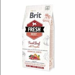 Brit Fresh Dog Puppy Beef