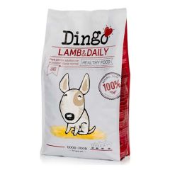 Dingo Lamb & Daily (Cordero)