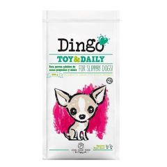 Dingo Toy & Daily