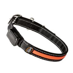 Collar reflectante Ferplast Solar Night