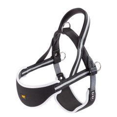 Arnés Perro Ergocomfort Nordic