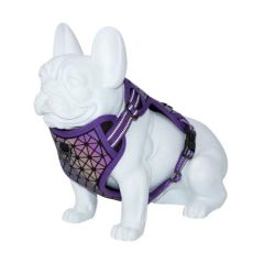 Arnés Perro Freedog Boreal Lila