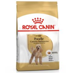 Royal Canin Caniche Adult (Poodle)