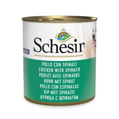 Schesir Perro Pollo con Espinacas (Latas)