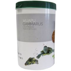 Wuapu Gammarus Tortugas