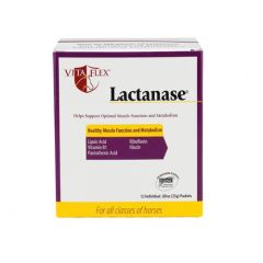 Lactanase Caballos (25 gr.)