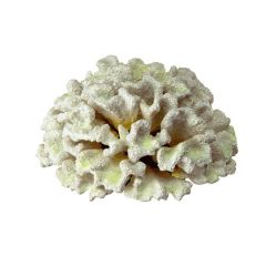 Coral blanco para Acuario 19,5 cm