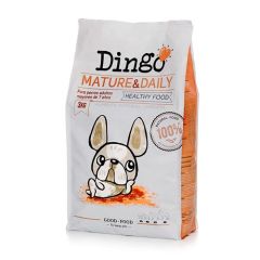 Dingo Mature & Daily