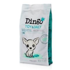 Dingo Toy & Daily