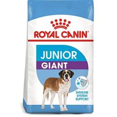 Royal Canin Giant Junior Dog