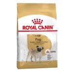 Royal Canin Carlino (Pug)