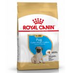 Royal Canin Carlino Puppy (Pug)
