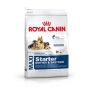 Royal Canin Maxi Starter