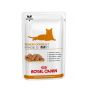 Royal Canin Cat Early Renal (Sobres)