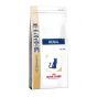 Royal Canin Cat Renal