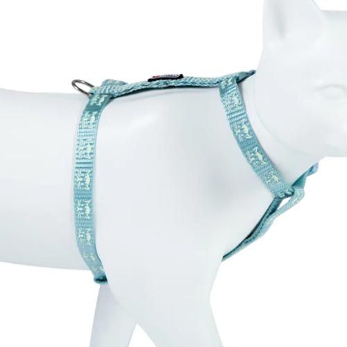 Schesir Perro Pollo con Calabaza (Latas) - Arnés Gato Reflectante Freecat Azul 10 mm x 19/30 cm