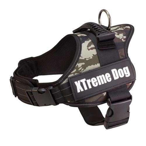 Arnés Xtreme Dog Camuflaje