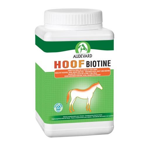 Hoof Biotine Caballos