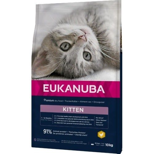 Eukanuba Kitten