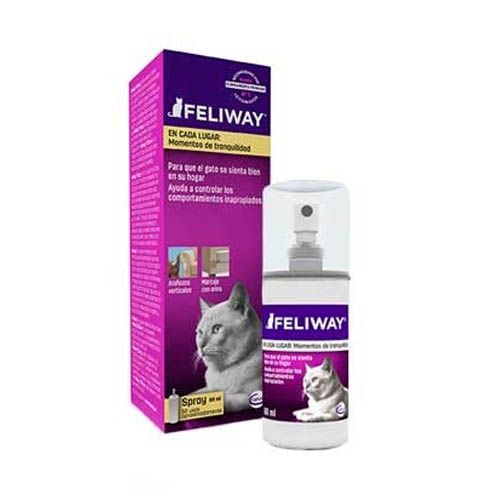 Spray Feliway para gatos (feromonas)