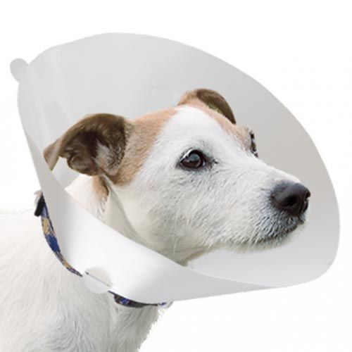 Collar veterinario para perros