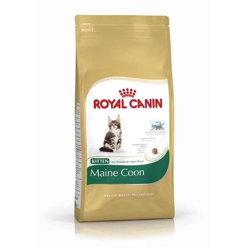 Royal Canin Cat Kitten Maine Coon