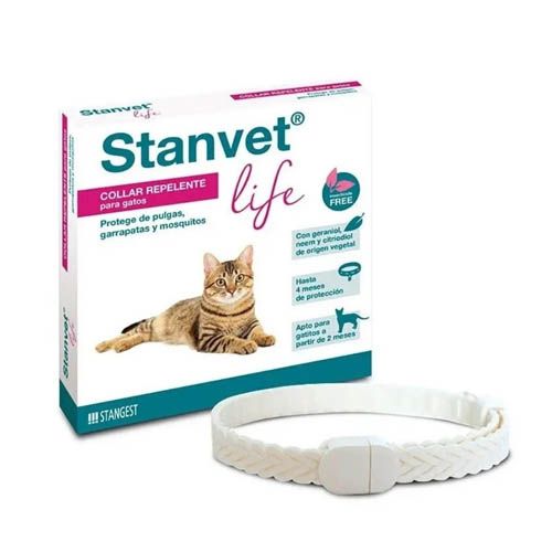Collar Stanvet Life Gato