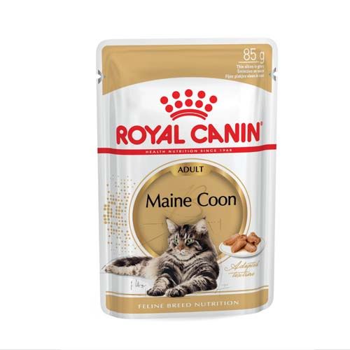 Royal Canin Cat Maine Coon (Sobres) 85 gr x 12