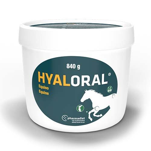 Hyaloral equino 840 gr