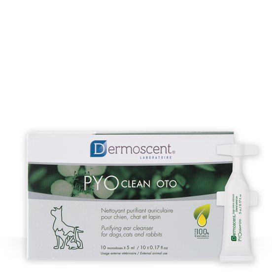 Limpiador Ótico Dermoscent Pyoclean Oto para perros y gatos (10 x 5 ml)