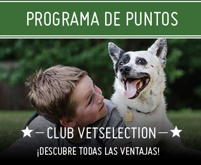 Programa de puntos